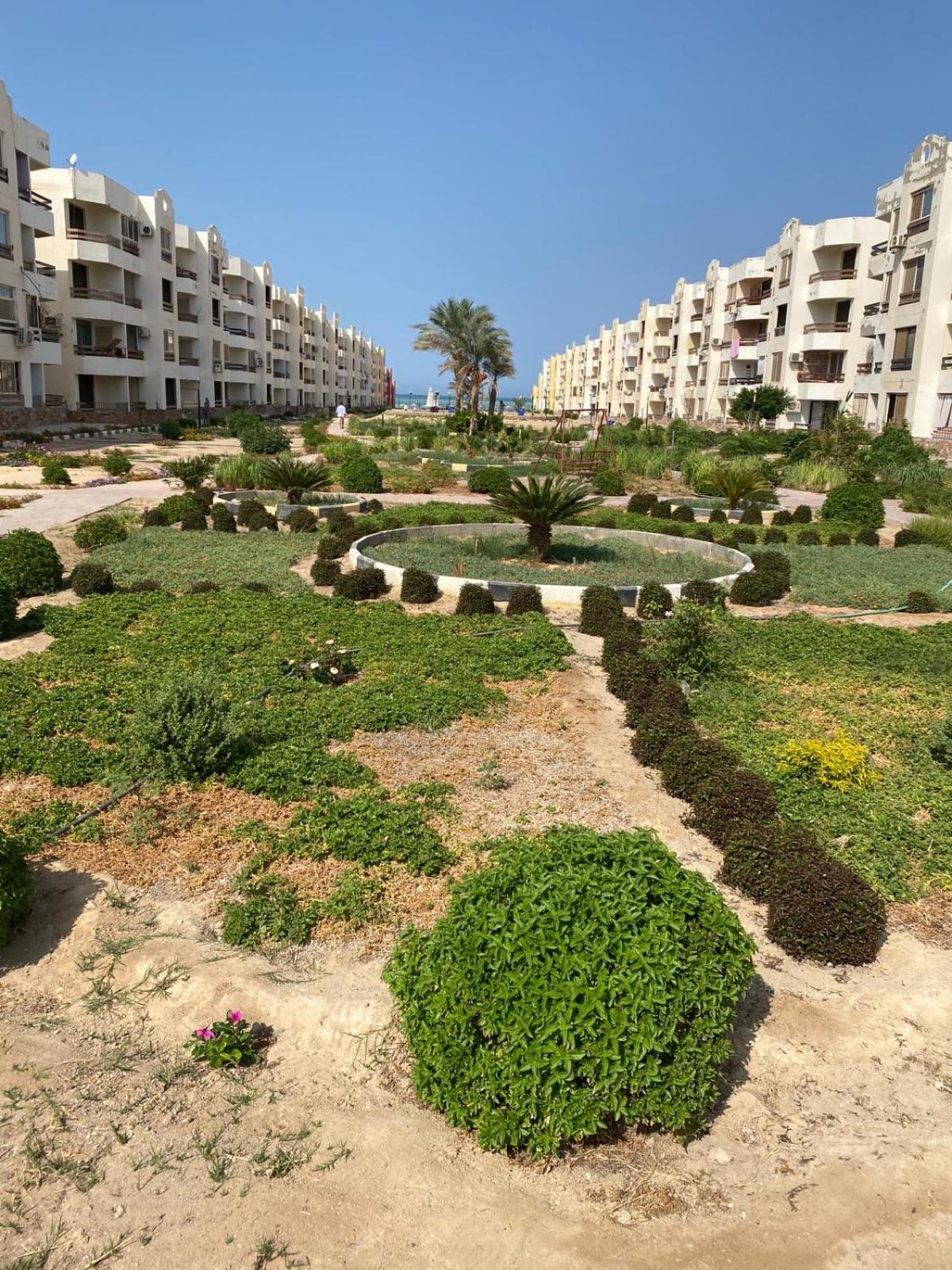 سمر لاند الاحياء Apartment *